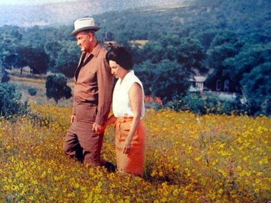 Lyndon B. Johnson State Park & Historic Site