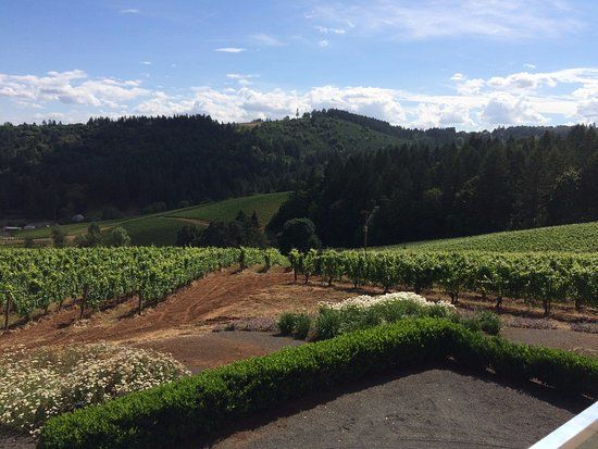 Winderlea Vineyard and Winery