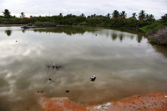 Laguna Salinas