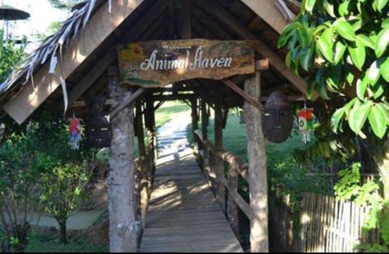 Green Haven Adventure Farm