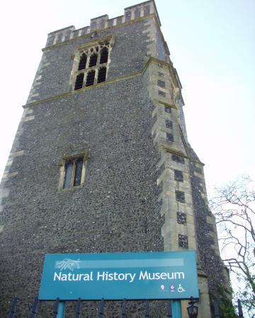 Colchester's Natural History Museum