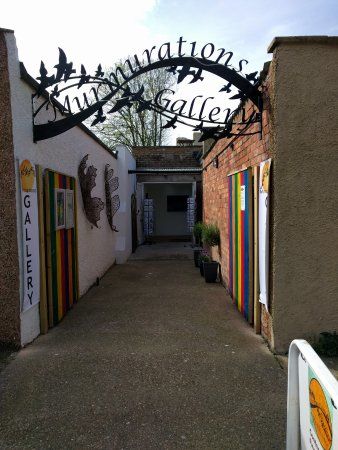 Murmurations Art Gallery