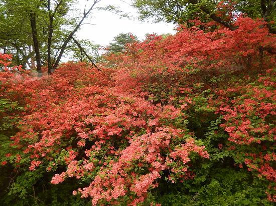 Nagamine Natural Park