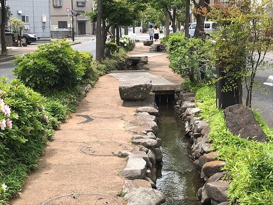 Kasai Shinsui Shiki no Michi