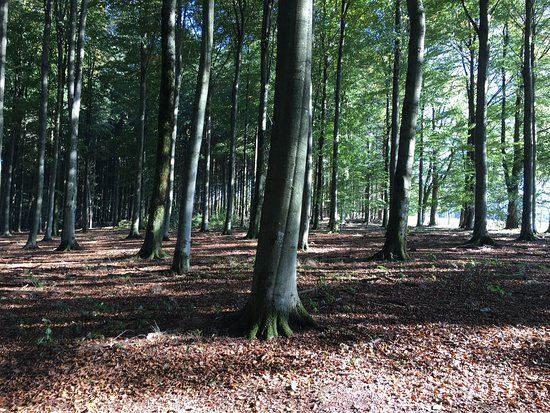 Parc a Gibier de Saint-Hubert