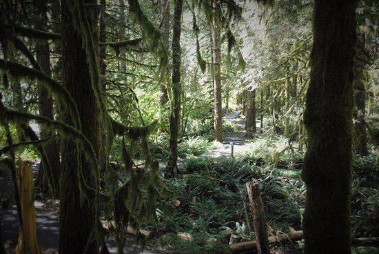 Wildwood Recreation Site