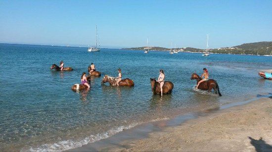 Centre équestre La plage