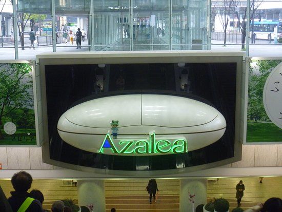 Kawasaki Azalea