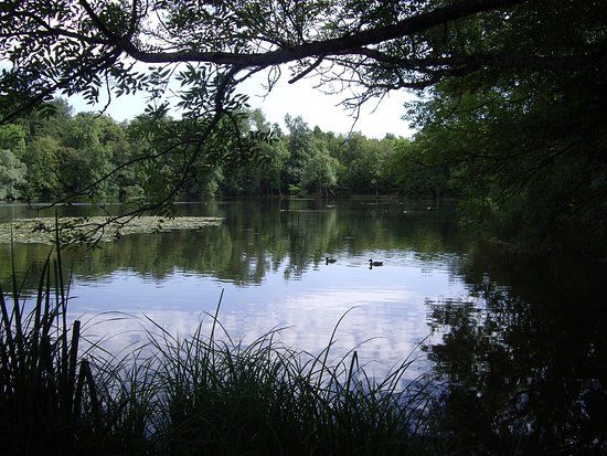 Parc de la Ballastière