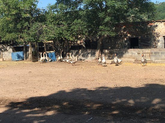 Ferme Pédagogique Arche de Noë