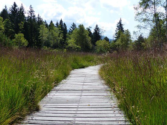 Reserve Naturelle du lac Luitel