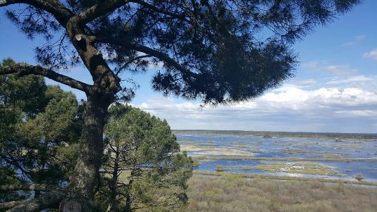 Reserve Naturelle de l'Etang de Cousseau
