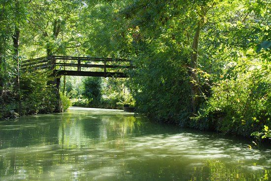 Embarcadère Port de Montfaucon