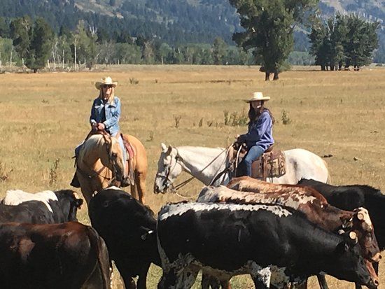 Jackson Hole Cowboy Adventure