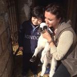 Pizzeria Ristorante Roma