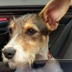 Hotel-Restaurant Burghof