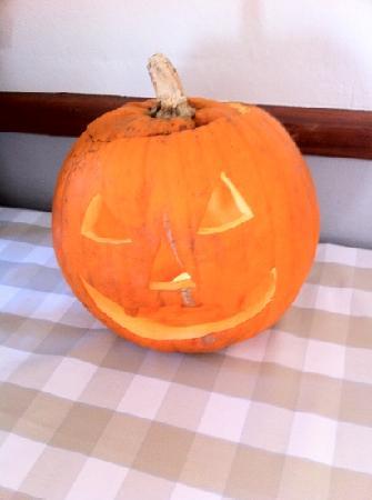 Restaurang Spejaren Sigtuna folkhogskola