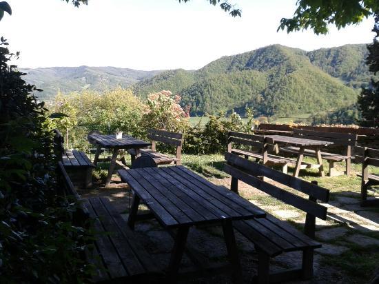 Il Girone dei Golosi