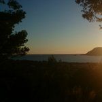 Salon de thé Chez Marie-Flore