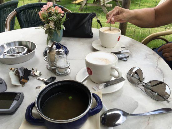 De Brabantse Biesbosch