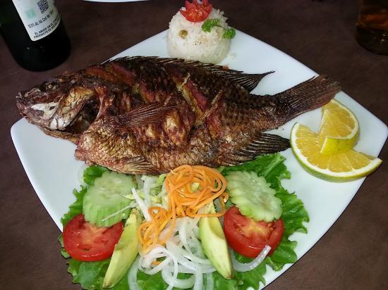 El Barco de Alvarado's