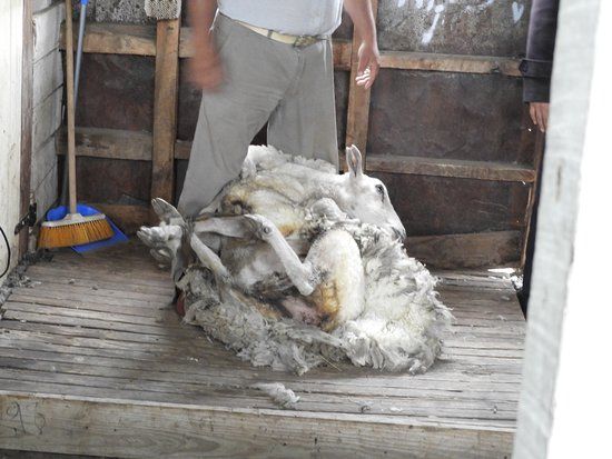 El Quincho Parrilla Patagonica