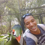 Tutti Frutti Sorvete