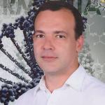 Restaurante Toca Do Coelho