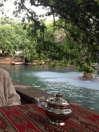 Ayn Zeliha Cay Bahcesi