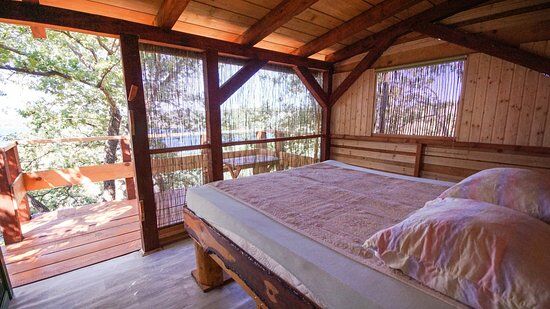 Marusina Olive Hills