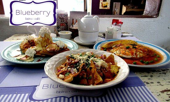 Blueberry Cafe