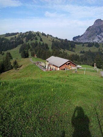 Alpwirtschaft Zwacken