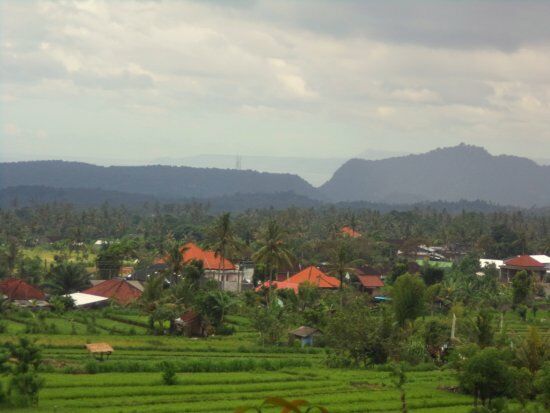 Temega Tree House Restaurant