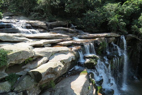 Réserve naturelle de Paradise Valley