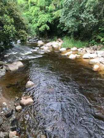 Ponte Tercilio Bilau