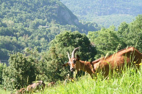 Ferme du Cap del Mail