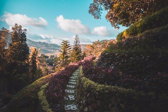 Terrazas de Flores Botanical Garden