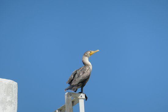 Mirador Charcas de Sisal