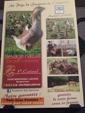 Fois Gras du Bois Barerou