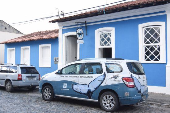 Instituto Baleia Jubarte