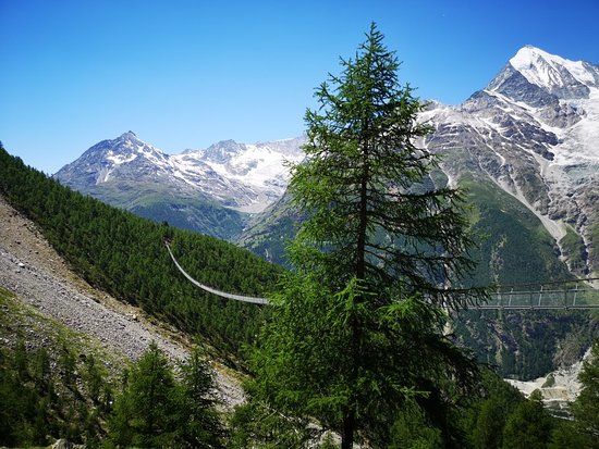 Charles Kuonen Suspension Bridge