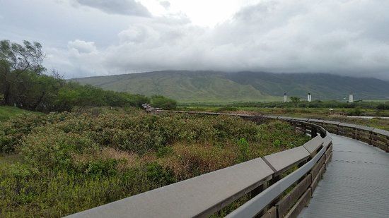 Kealia Coastal Boardwalk