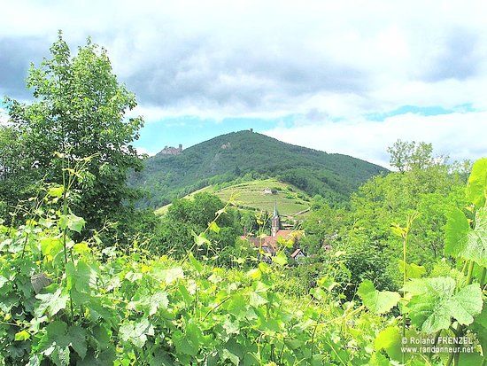 Burg Hohrappoltstein