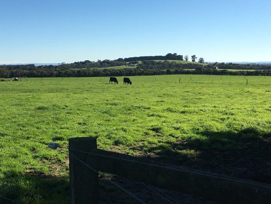 Bimbadeen Phillip Island