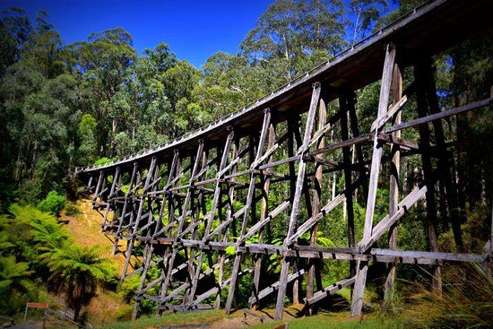 Noojee Trestle Bridge