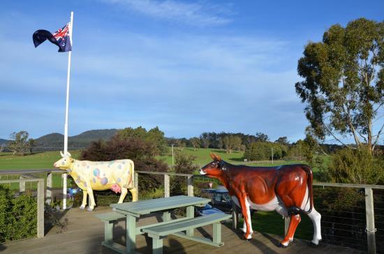 Ashgrove Tasmanian Farm Cheese