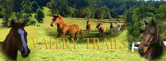 Valery Trails & Horse Riding Centre