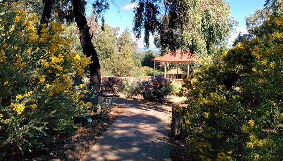 Tamworth Botanical Gardens