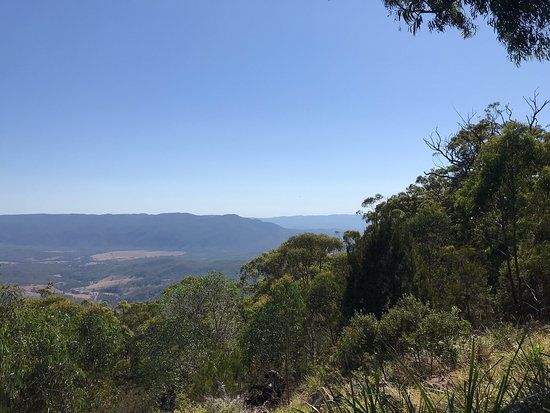 Washpool National Park