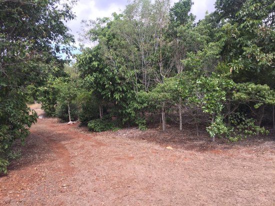 Mount Etna Caves National Park